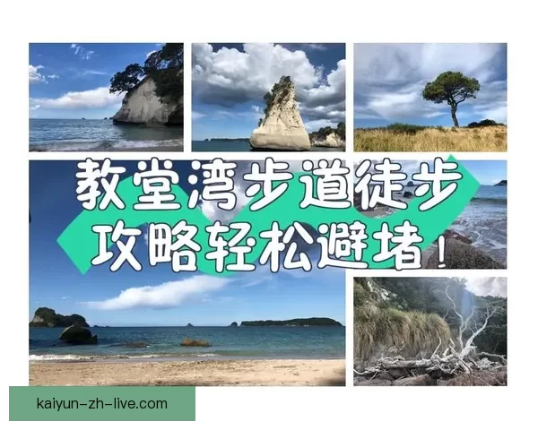世界杯竞猜官网入口最新指南带你轻松掌握赛事预测技巧